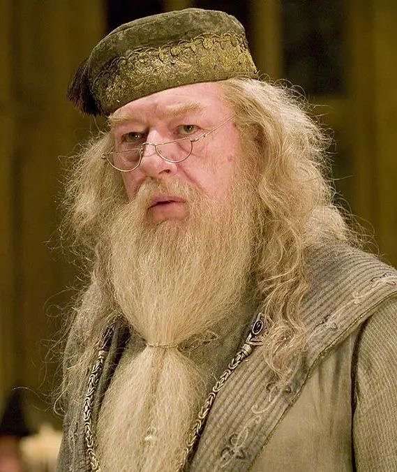 Sir Michael Gambon as Albus Dumbledore